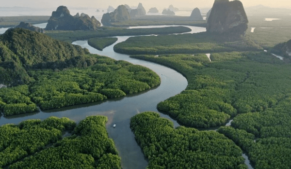 1. Sông Amazon (ở Nam Mỹ)