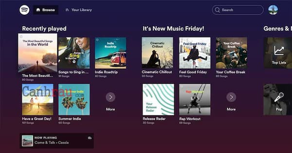 4. Spotify (Windows, Android, iOS, macOS, Linux, Chromebook)