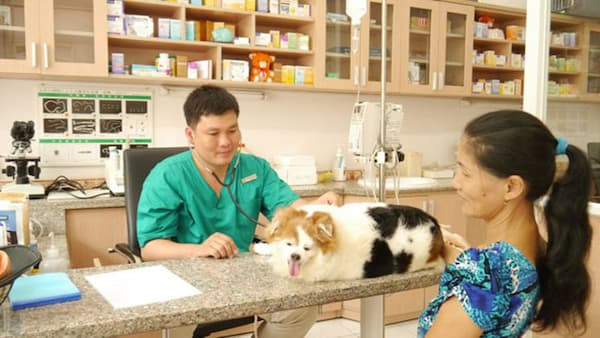 10. Bệnh viện và spa thú cưng New Pet