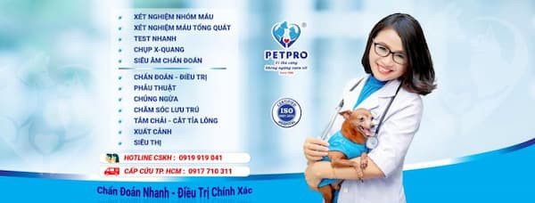 4. Bệnh Viện Thú Y Pet - Pro