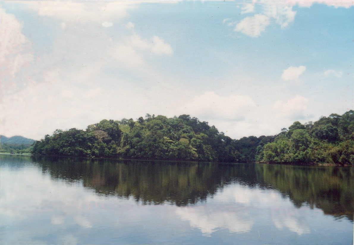 Hồ Trúc
