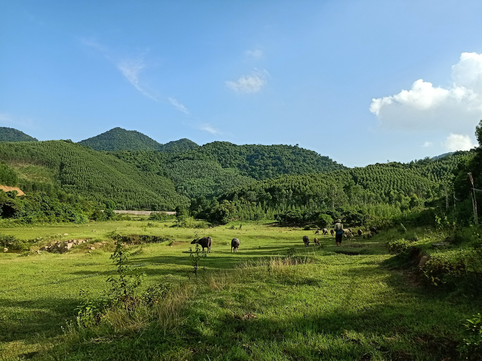 Cắm trại Khu Du Lịch Suối Mỡ