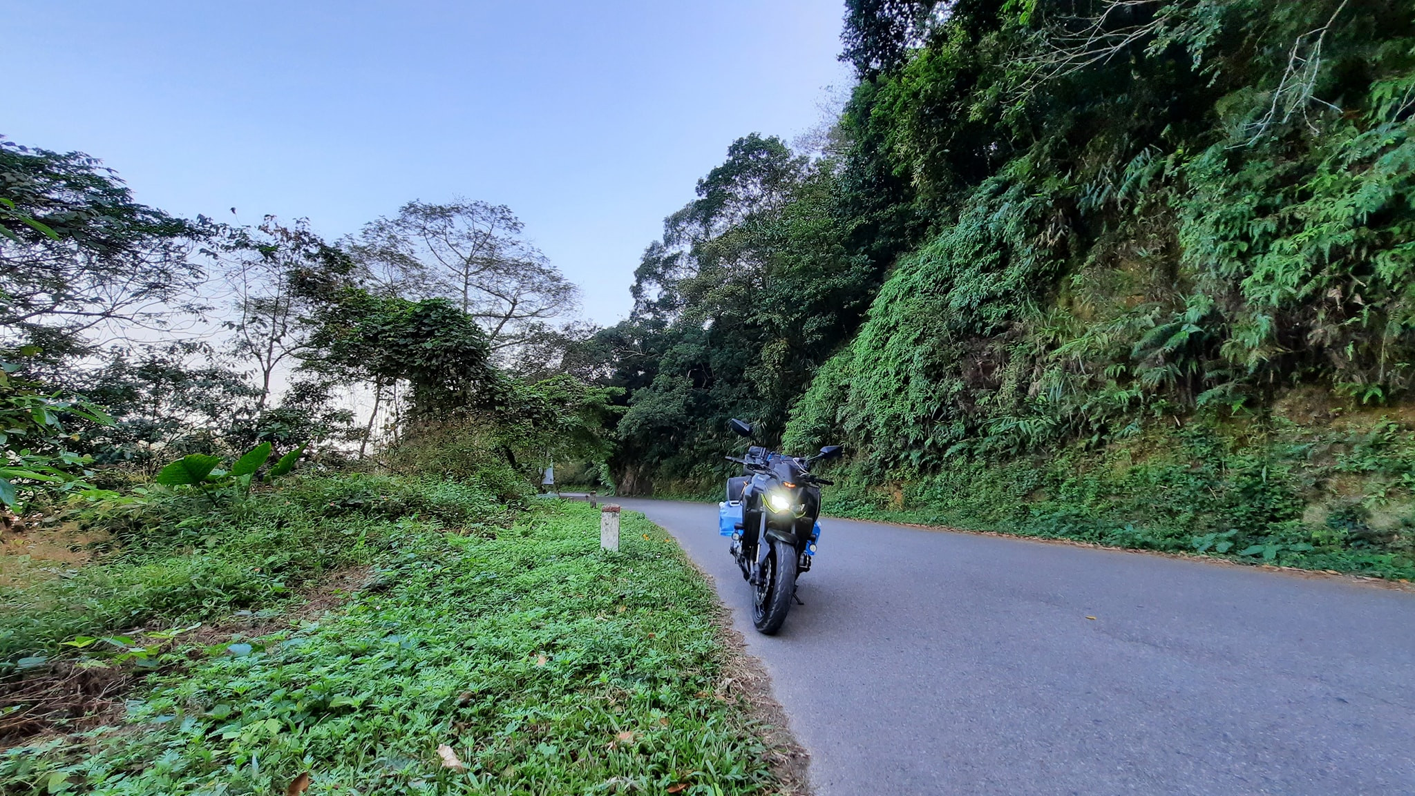 Rừng Thông Vườn Quốc Gia Ba Vì