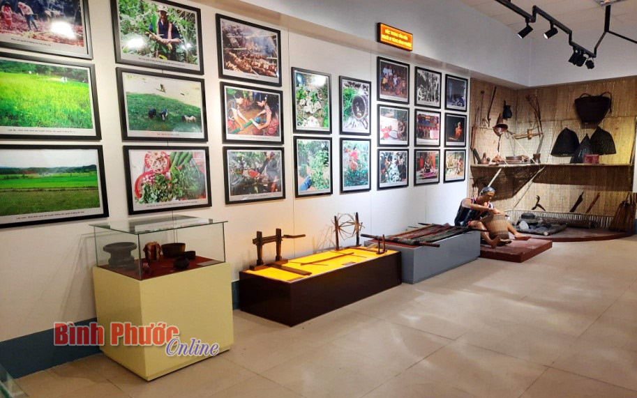 Bảo tàng tỉnh Bình Phước