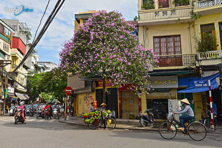Phố Hàng Gai - Hang Gai Street