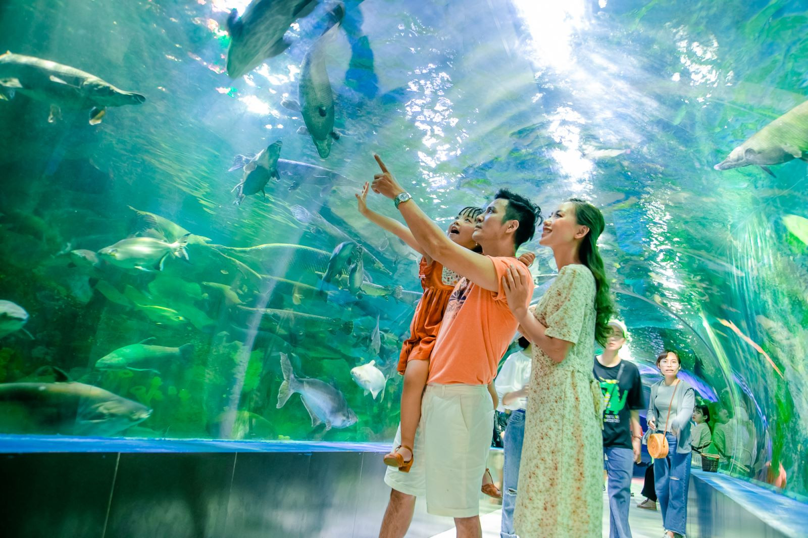 Thiên đường Bảo Sơn - Bao Son Paradise