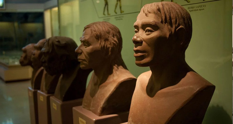 Bảo tàng Lịch sử Việt Nam - Vietnam National Museum of History