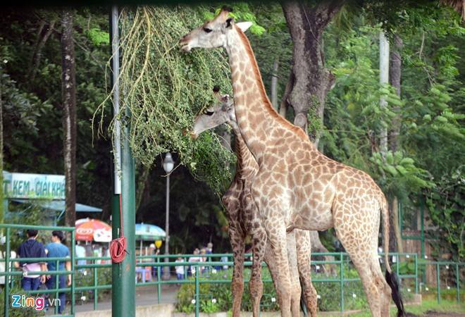 Công viên Thủ Lệ - Thu Le Park