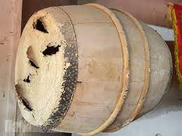 Đình Triều Hội