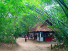 Lối vào