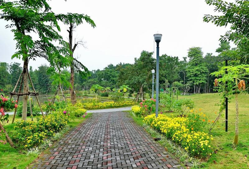 CÔNG VIÊN MÙA HẠ ECOPARK