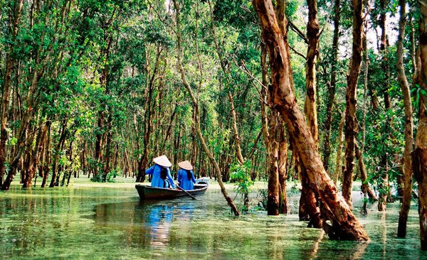 Rừng Tràm Gáo Giồng