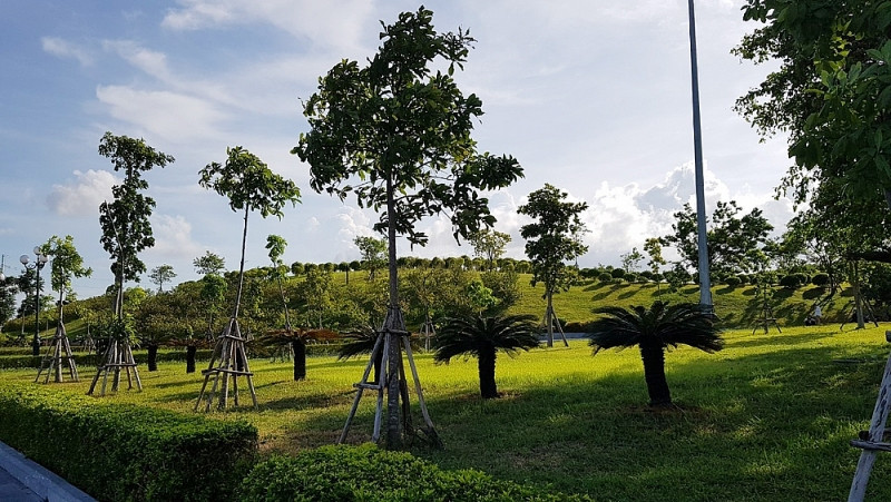 Quảng Trường Thái Bình