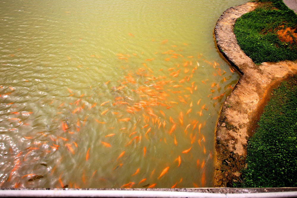 Đền thờ Lạc Long Quân