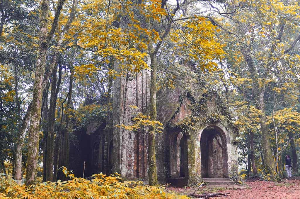 Vườn quốc gia Ba Vì