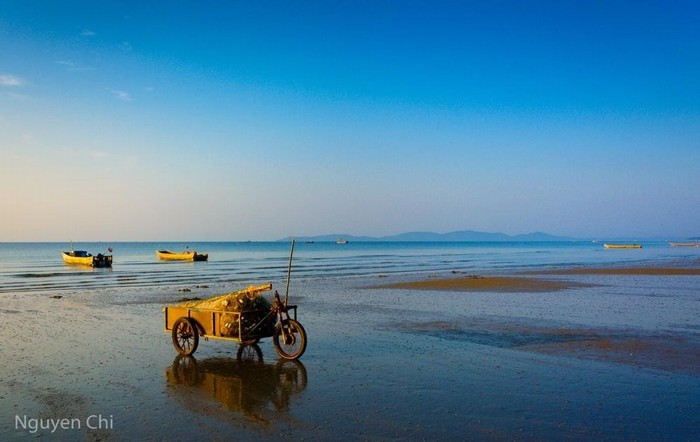 Bãi biển Trà Cổ