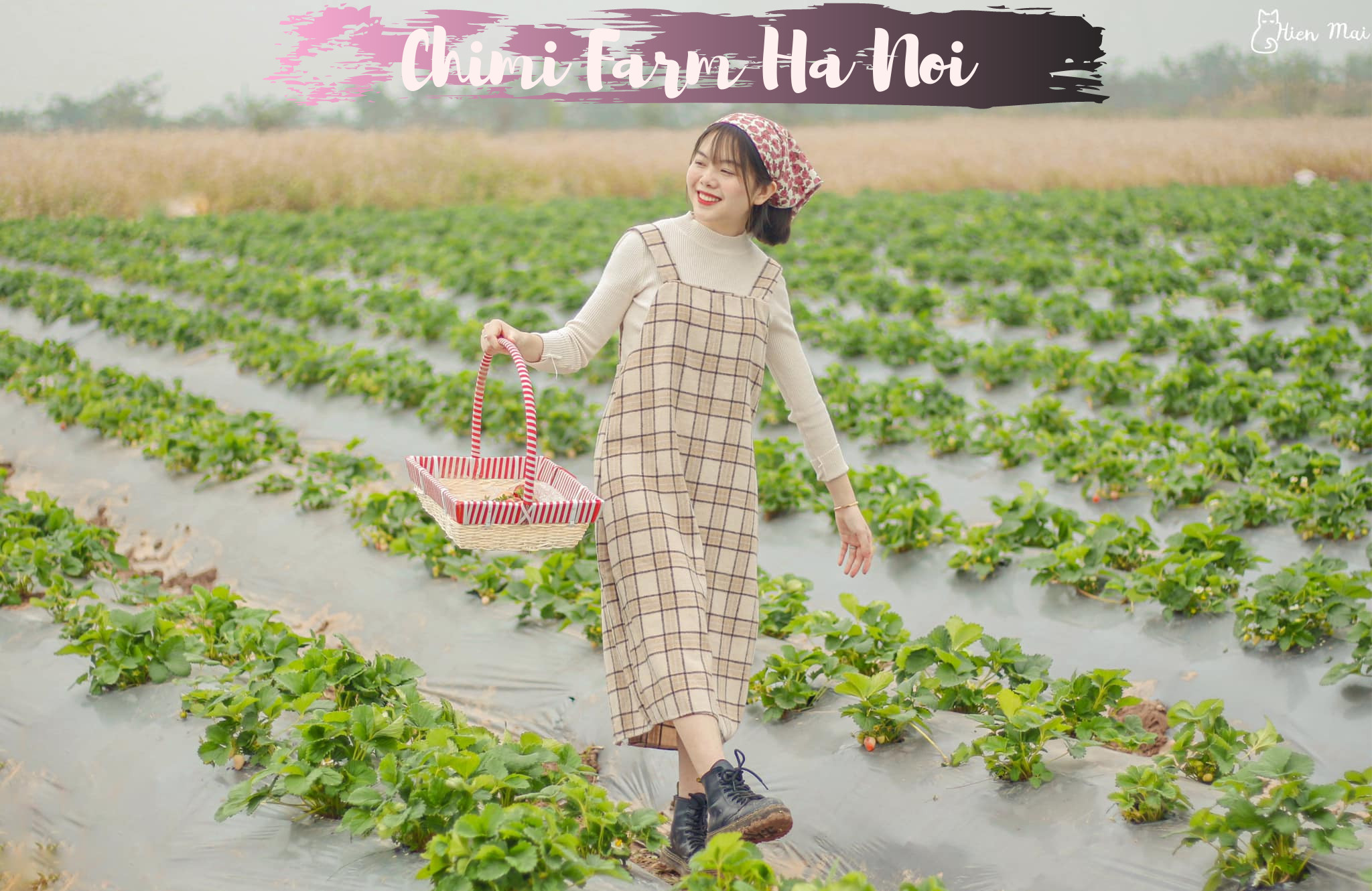 Vườn dâu Chimi Farm 4