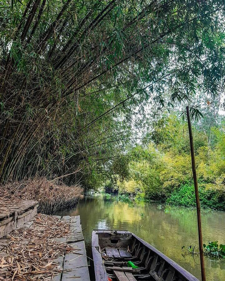 Con đường tre đẹp nhất Hậu Giang