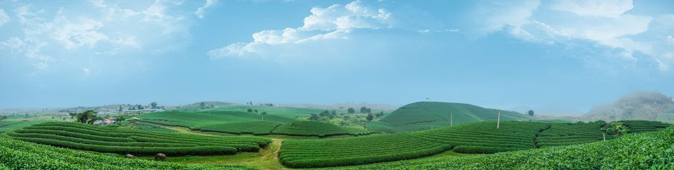 BÃI BÙI, LẠC SƠN, HÒA BÌNH