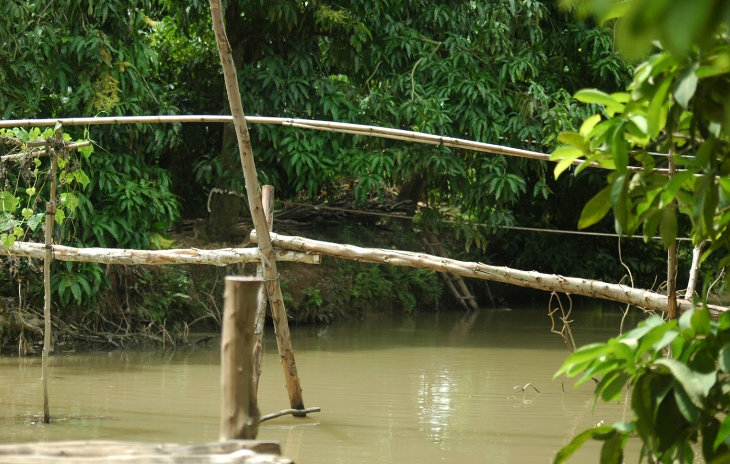 Cồn Tân Thuận Đông