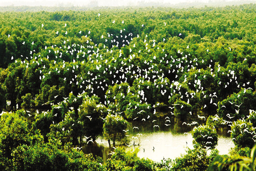 Khu du lịch sinh thái Gáo Giồng