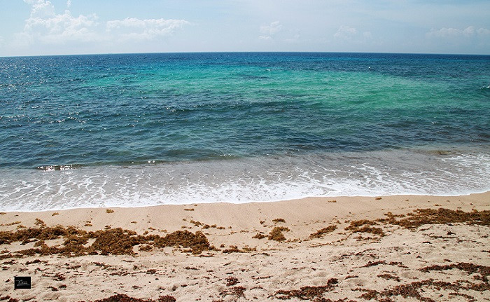 Bãi Hỏm (Bãi Rùa)