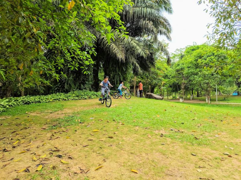 CÔNG VIÊN MÙA HẠ ECOPARK