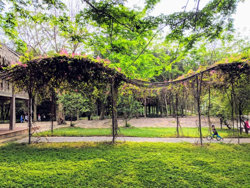 CÔNG VIÊN MÙA HẠ ECOPARK
