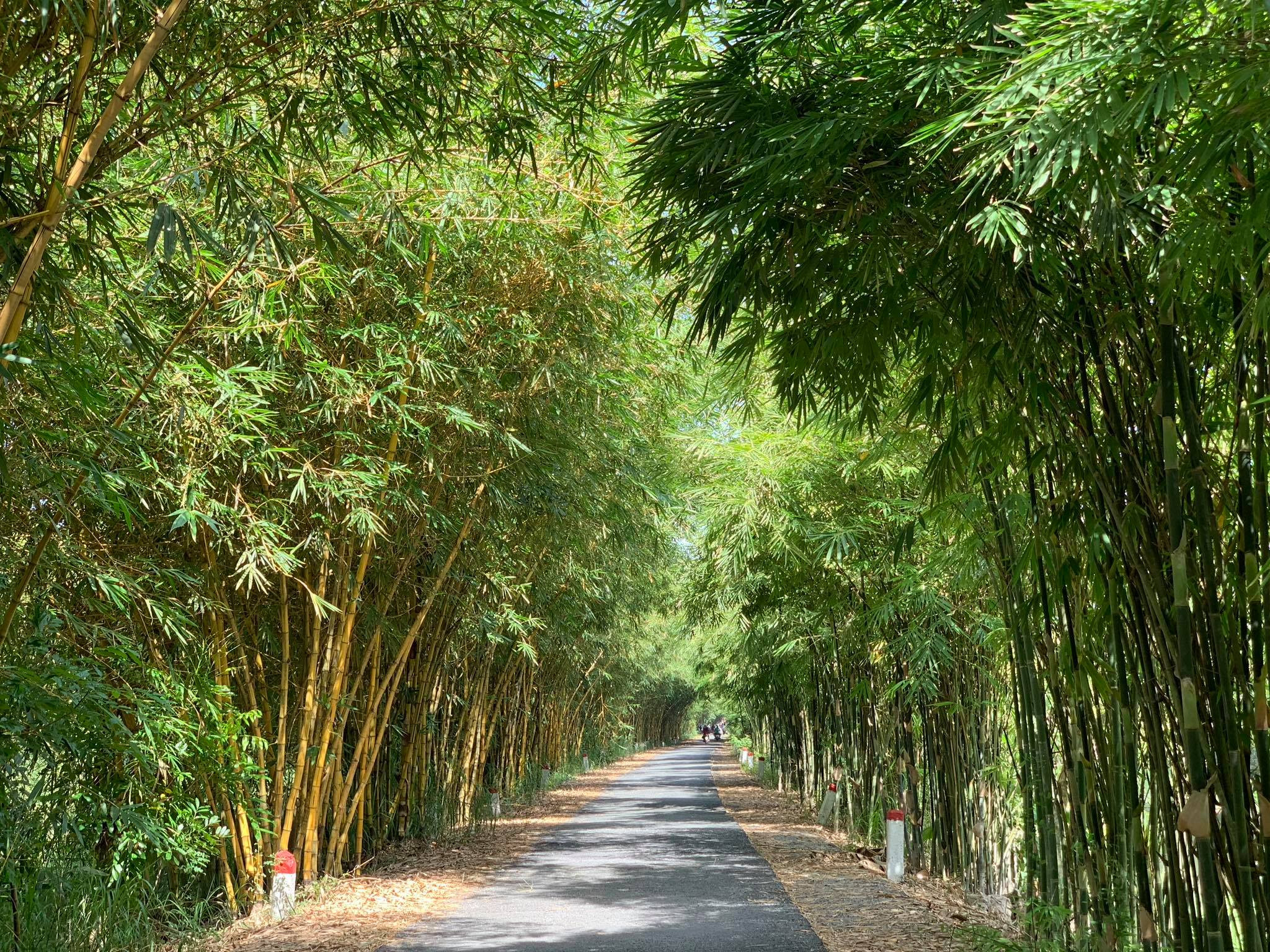 Khu du lịch sinh thái Gáo Giồng