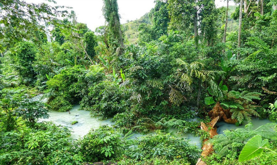 Vườn Quốc Gia Yok Don - Yok Don National Park