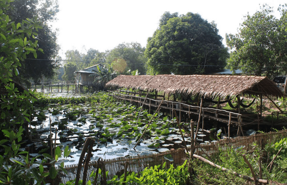 Rừng Tràm Gáo Giồng