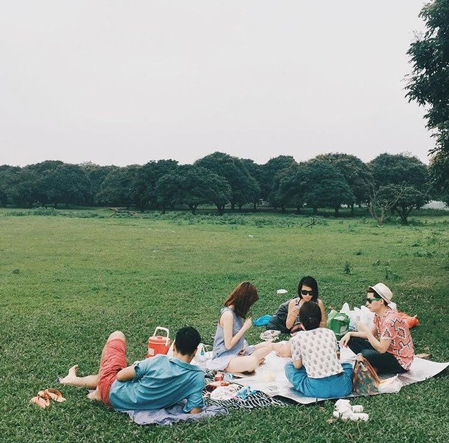 VƯỜN NHÃN VĨNH TUY