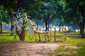 VƯỜN NHÃN VĨNH TUY