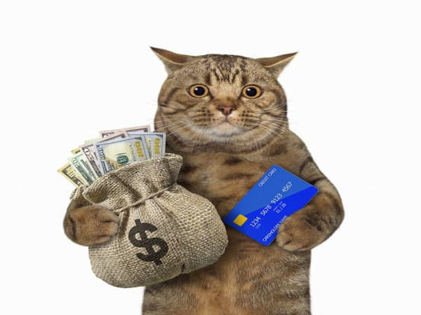 Moneycat