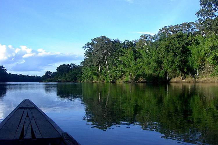 Vườn Quốc Gia Yok Don - Yok Don National Park