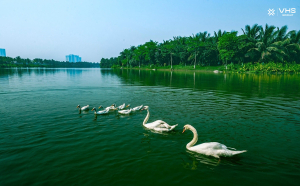 CÔNG VIÊN HỒ THIÊN NGA, ECOPARK