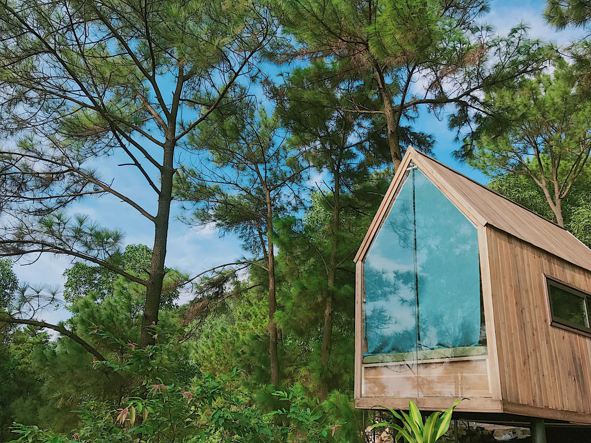 Nhà bên rừng U Lesa