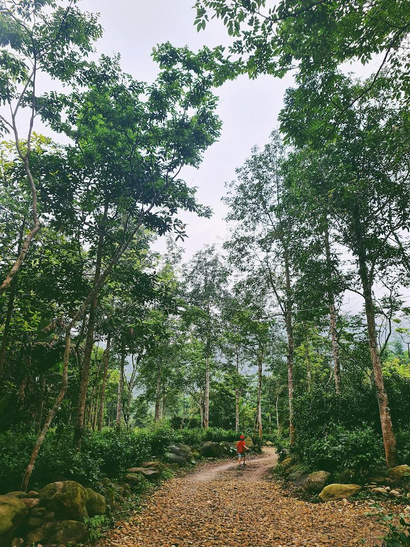 MoJen's Camp & Retreat