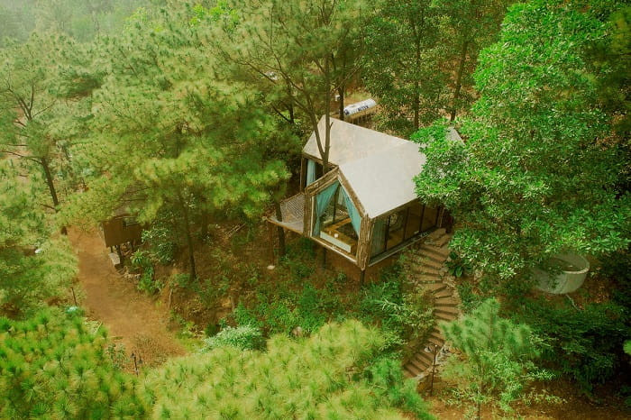 Nhà bên rừng U Lesa