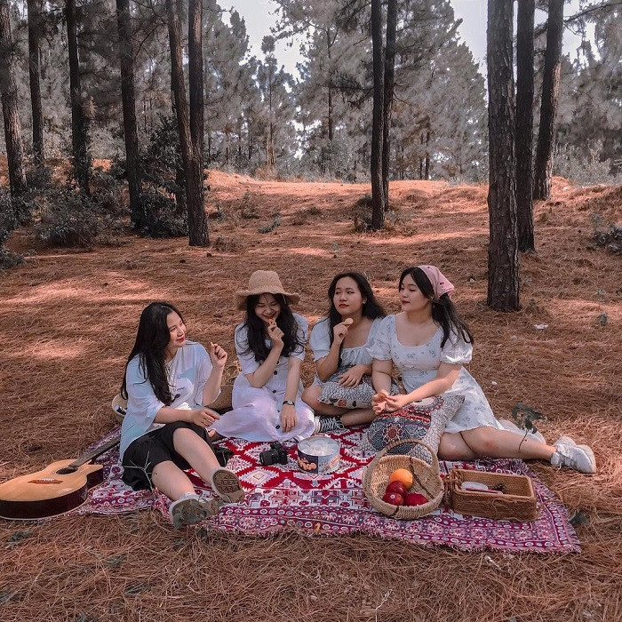 Đồi thông Bồ Bồ