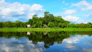 Bàu Sấu