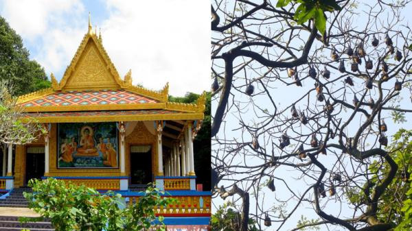 Chùa Dơi