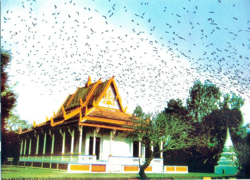 chùa Dơi Sóc Trăng