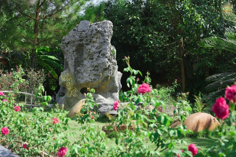 Vườn Bồ Đề thu hút đông đảo du khách và Phật tử đến tham quan