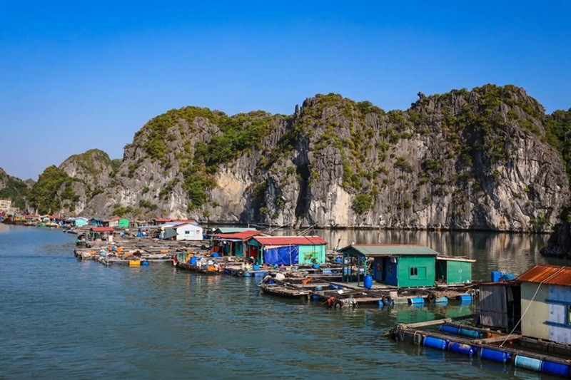Làng Chải Việt Hải là một trong những làng chài nổi tiếng