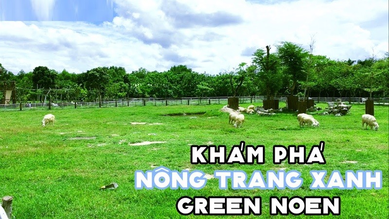Green Noen là một mô hình tiêu biểu cho sản xuất nông nghiệp sạch