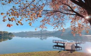 Hồ Xuân Hương ở đâu? Top 6 điểm đến có vẻ đẹp thơ mộng