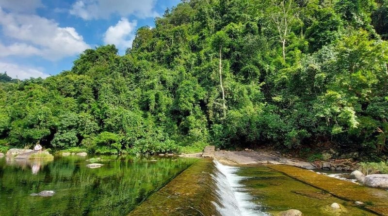 Khu du lịch sinh thái Đồng Thông được bao phủ bởi những cánh rừng nguyên sinh rộng lớn