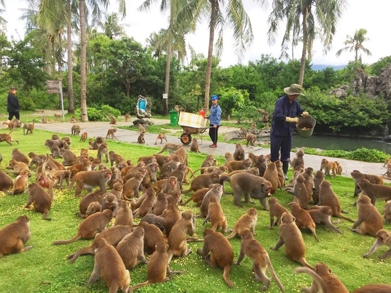 Đảo Khỉ Nha Trang có hệ sinh thái vô cùng đa dạng