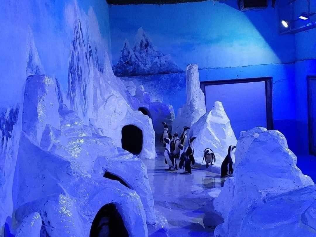 Thủy Cung Lotte Tây Hồ